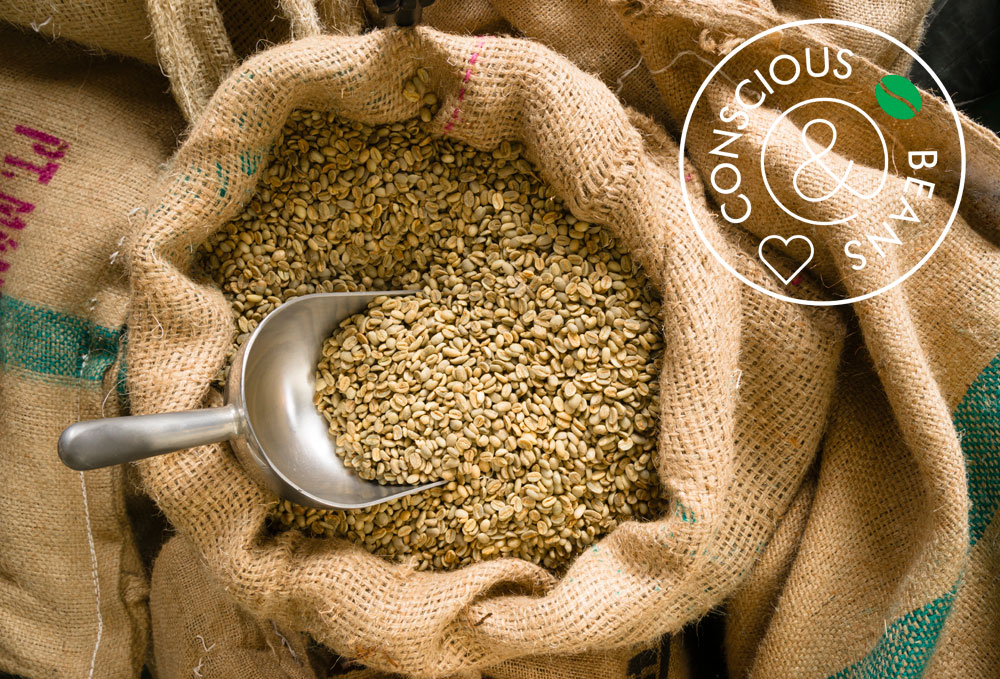 coffeebabes seeds bulk scoop burlap bag agriculture bean